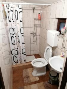 a bathroom with a toilet and a shower and a sink at Prenoćište Day Holiday in Smederevo +56 photos