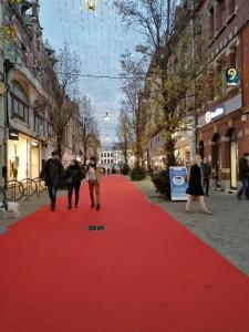 a red carpet for a movie on a city street at Maison avec garage, terrasse, l'Herboristerie in Béthune