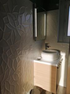 een badkamer met een wastafel en een muur bij Maison avec garage, terrasse, l'Herboristerie in Béthune