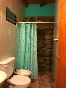 a bathroom with a toilet and a green shower curtain at Departamentos la Familia NONO in Nono