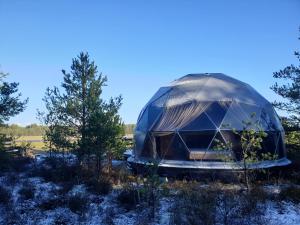 博尔斯克Podniebny Glamping的相册照片