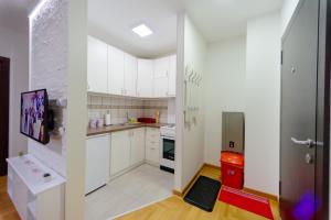 Kuchyň nebo kuchyňský kout v ubytování Zlatibor Apartman KRF 04