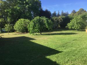 Zahrada ubytování Pa Road B&B Kerikeri NZ
