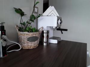 - une table avec une cafetière et une plante dans l'établissement Antonina apartment, à Skopje