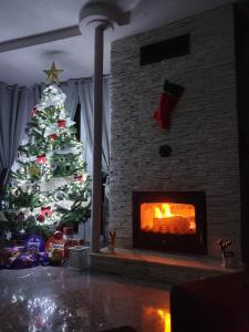 Fotografie z fotogalerie ubytování Lidia House v destinaci Alba Iulia