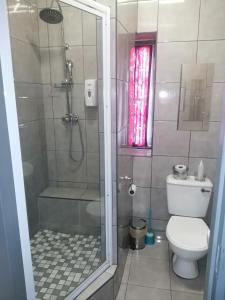 a bathroom with a shower with a toilet and a glass shower door at Keetmanshoop Self-catering in Keetmanshoop