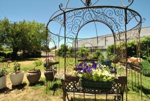 a garden with potted plants in a gate at Cooma Cottage in Cooma