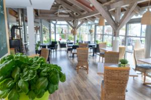 Posezení v ubytování Hotel Volapük