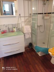 uma casa de banho com um chuveiro e um lavatório. em Studio à la campagne aux portes de Nantes em Saint-Mars-du-Désert