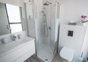 耶路撒冷Gorgeous Design 3 BDR Appart - J Tower - Amazing View!的带淋浴、马桶和水槽的浴室