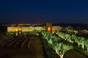 a row of trees in front of a building at night at Ch&acirc;teau Roslane Boutique h&ocirc;tel & Spa in Mekn&egrave;s