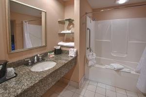 Holiday Inn St. Paul Northeast - Lake Elmo by IHG的一间浴室