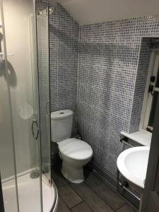 a bathroom with a toilet and a shower and a sink at Fishermans Flint cottage in Sheringham