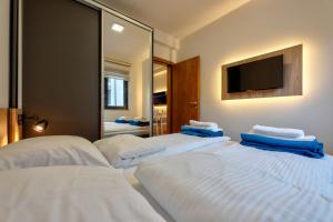 兹拉蒂博尔Zlatibor apartman Asteri的酒店客房,设有三张床和镜子