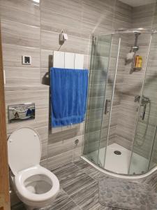 Vannituba majutusasutuses Maksim Delux Apartman