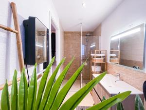 a bathroom with a large green plant in the foreground at Appartement Le Majestudio in Morteau