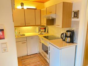 Kuchyň nebo kuchyňský kout v ubytování Gartenwohnung Robinigg
