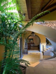 Galeriebild der Unterkunft Hotel 1915 INN & SUITES in Alajuela
