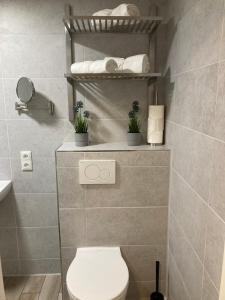 a bathroom with a toilet and shelves with towels at Modernes Apartment Nr1 nahe Reeperbahn bis 4 Personen in Hamburg