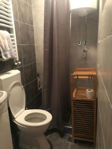 un baño con inodoro y ducha en Weekendica, en Kopaonik 51 fotos más