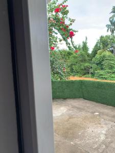 uitzicht op een tuin vanuit een raam van een huis bij Baixo Guandu, casa independente no Centro. in Baixo Guandu
