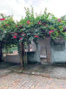 een boom met roze bloemen op een hek bij Baixo Guandu, casa independente no Centro. in Baixo Guandu