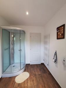a large glass shower in a room with a wooden floor at Vila Eivissa in Porumbacu de Sus +24 photos
