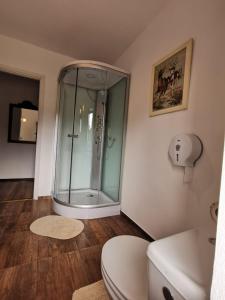 a bathroom with a glass shower with a toilet at Vila Eivissa in Porumbacu de Sus