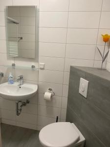 a bathroom with a toilet and a sink at familienfreundliche Ferienwohnung Anna in Rollshausen