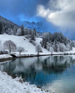 a river with snow covered trees and a mountain at Hotel Central in Engelberg