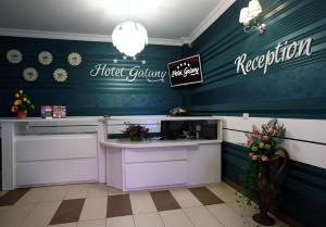 Лобби или стойка регистрации в Hotel Galany