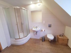 a bathroom with a shower and a toilet and a sink at Maja 37 in Janowice Wielkie