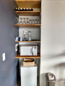 a kitchen with a microwave and a small refrigerator at Recanto das Estrelas in Aiuruoca