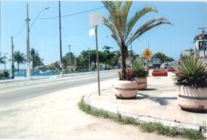 a street with palm trees on the side of a road at Apartamento Iguaba Grande, bairro Canellas City , em frente ao trailer do popeye in Iguaba Grande