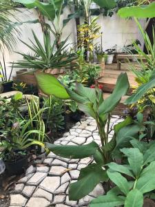 Chambre1 Résidence Beauregard في Koungou: حديقة فيها نباتات ومقعد في الخلفية +6 صور