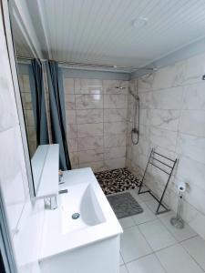 W łazience znajduje się biała umywalka i prysznic. w obiekcie Dany Lodge - Spacieux T2 à 5 minutes de la plage en voiture w mieście Rivière-Pilote