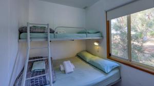 a bunk bed in a small room with a window at Cobar Caravan Park in Cobar