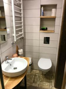 a bathroom with a sink and a toilet at fazenda slavsko in Slavske +40 photos