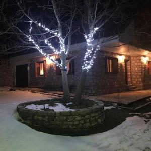 Mikro Katafygio during the winter