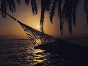 a hammock on the beach with the sunset in the background at Falak in Taba