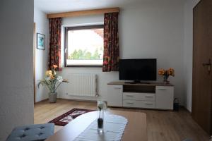 a living room with a television and a window at Haus Walser in Tarrenz