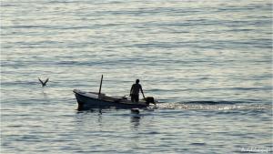 a man and a dog on a boat in the water at Apartments Tanja in Zavalatica