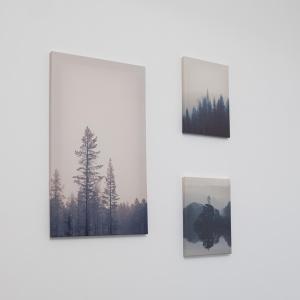 Fotografie z fotogalerie ubytování B&B Milena v destinaci Rutigliano
