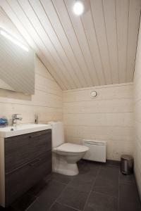 a bathroom with a white toilet and a sink at Levi President Suksitie Chalet in Levi +16 photos