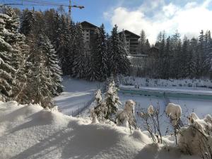 겨울의 Central & Ski-lift | Palma