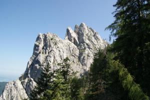 Naturlandschaft in der Nähe des Bauernhofs