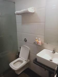 a bathroom with a white toilet and a sink at Rudra Shelter International Hotel in Vasai