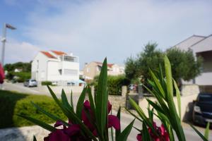 een potplant met paarse bloemen in een tuin bij Apartments 2A in Petrcane