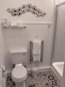 a white bathroom with a toilet and a sink at Denehurst Guest House in Windermere