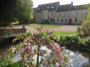 una casa con flores rosas frente a un estanque en Cidrerie, Coeur De Combray, en Ernes
